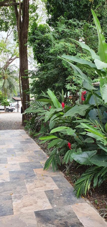Tucan Hotel Uvita Eksteriør billede