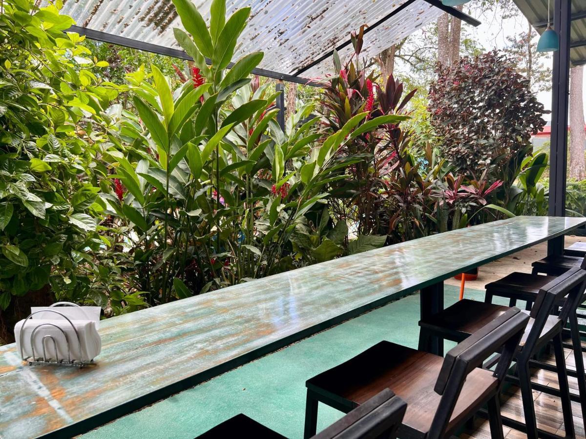 Tucan Hotel Uvita Eksteriør billede