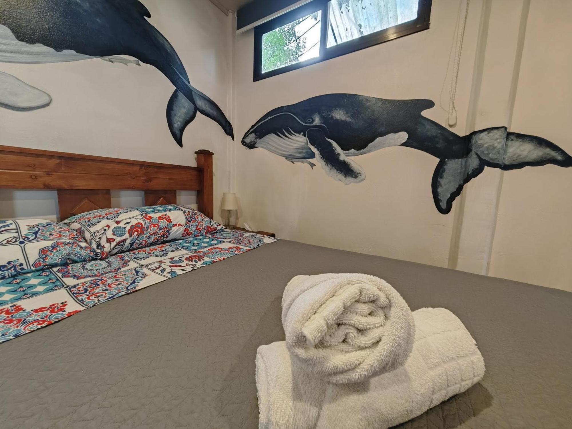 Tucan Hotel Uvita Værelse billede
