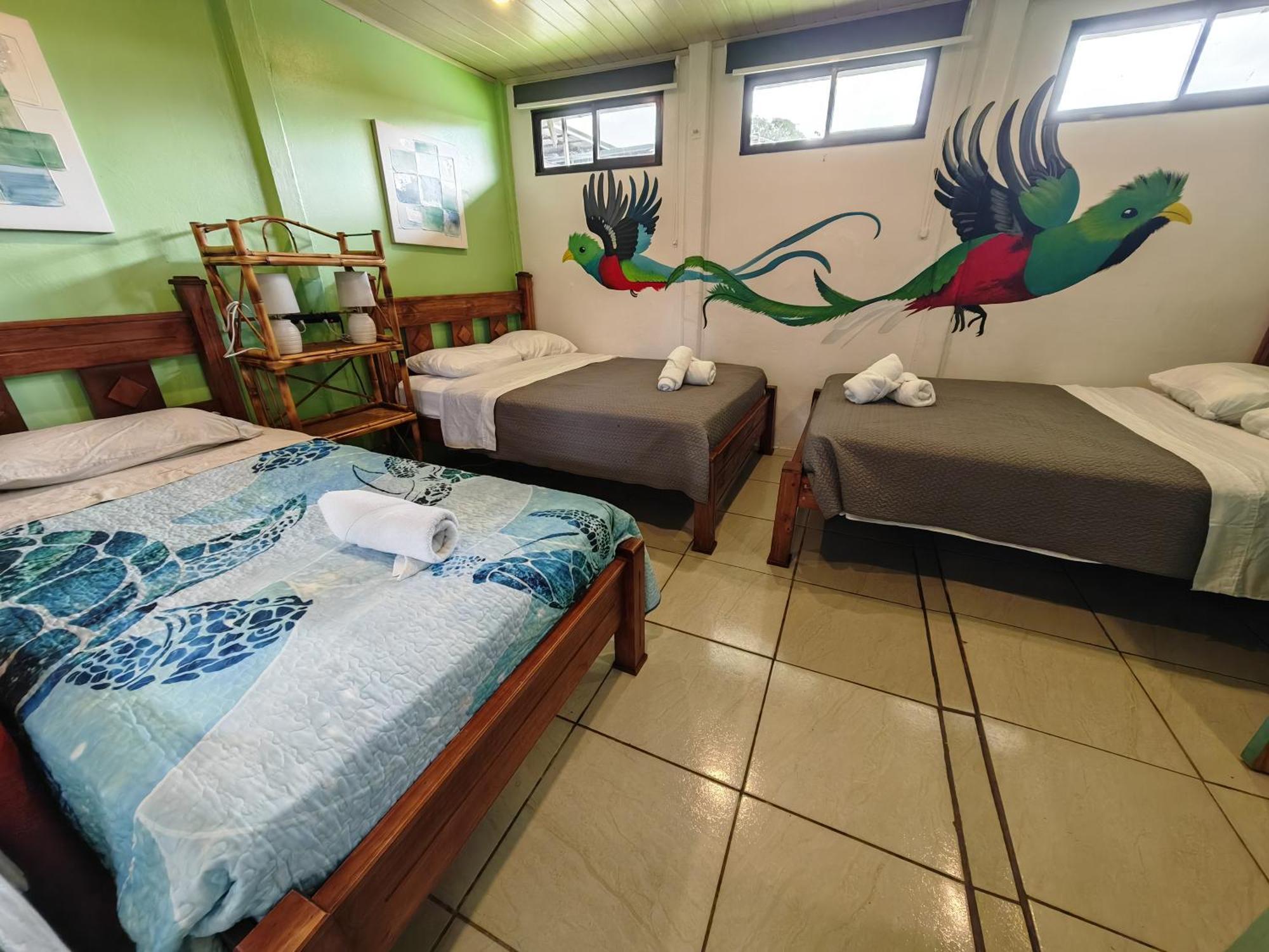 Tucan Hotel Uvita Værelse billede