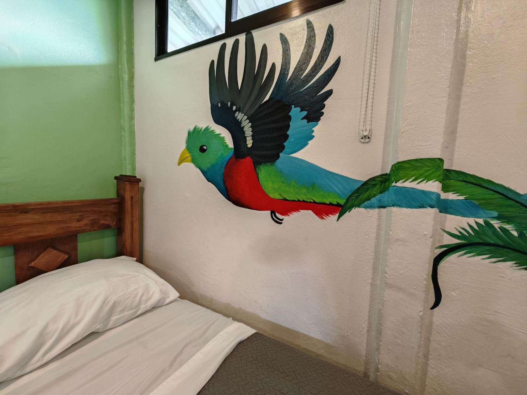 Tucan Hotel Uvita Værelse billede