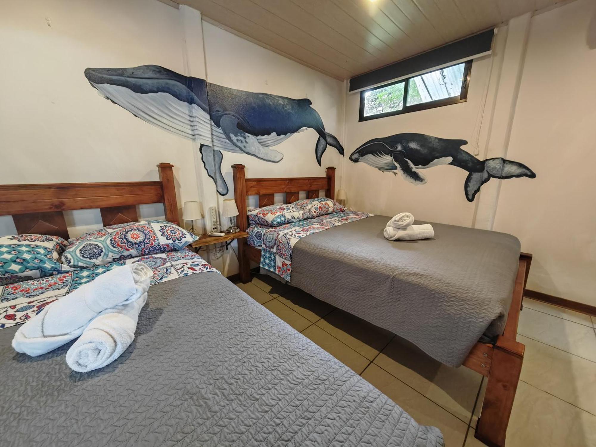 Tucan Hotel Uvita Værelse billede
